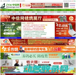 中信网